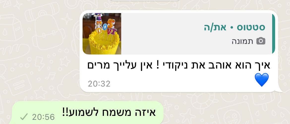 פידבק