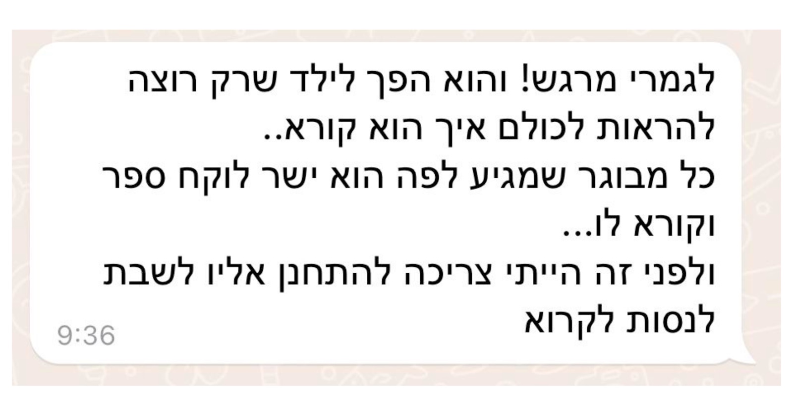 פידבק