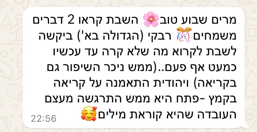 פידבק