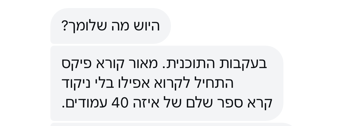 פידבק